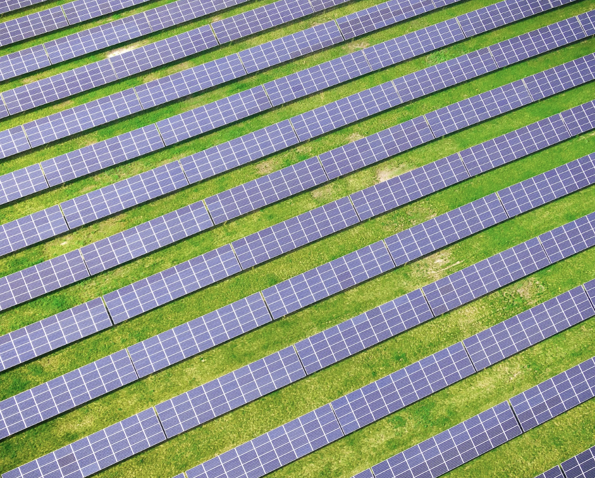 <strong>Trustworthy Solar Companies – What Do They Have in Common</strong>